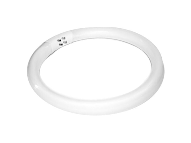 Lampadina di Ricambio per Lampada con Lente 22W S4