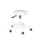 Sgabello Regolabile con Ruote Eco Pelle AM-303-2 Bianco