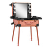 Valigia Trucco Postazione Mobile T-27 con Specchio Illuminato Oro Rosa