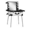 Valigia Trucco Postazione Mobile T-27 con Specchio Illuminato Argento
