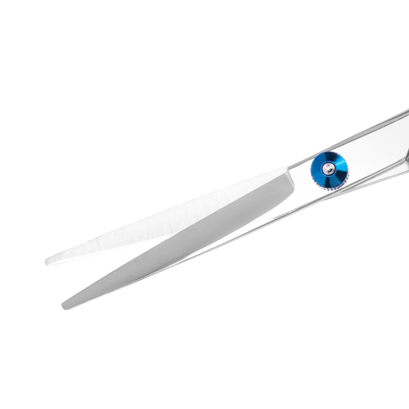 Forbici da Parrucchiere Snippex 6 Pollici Argento-Blu - immagine 2