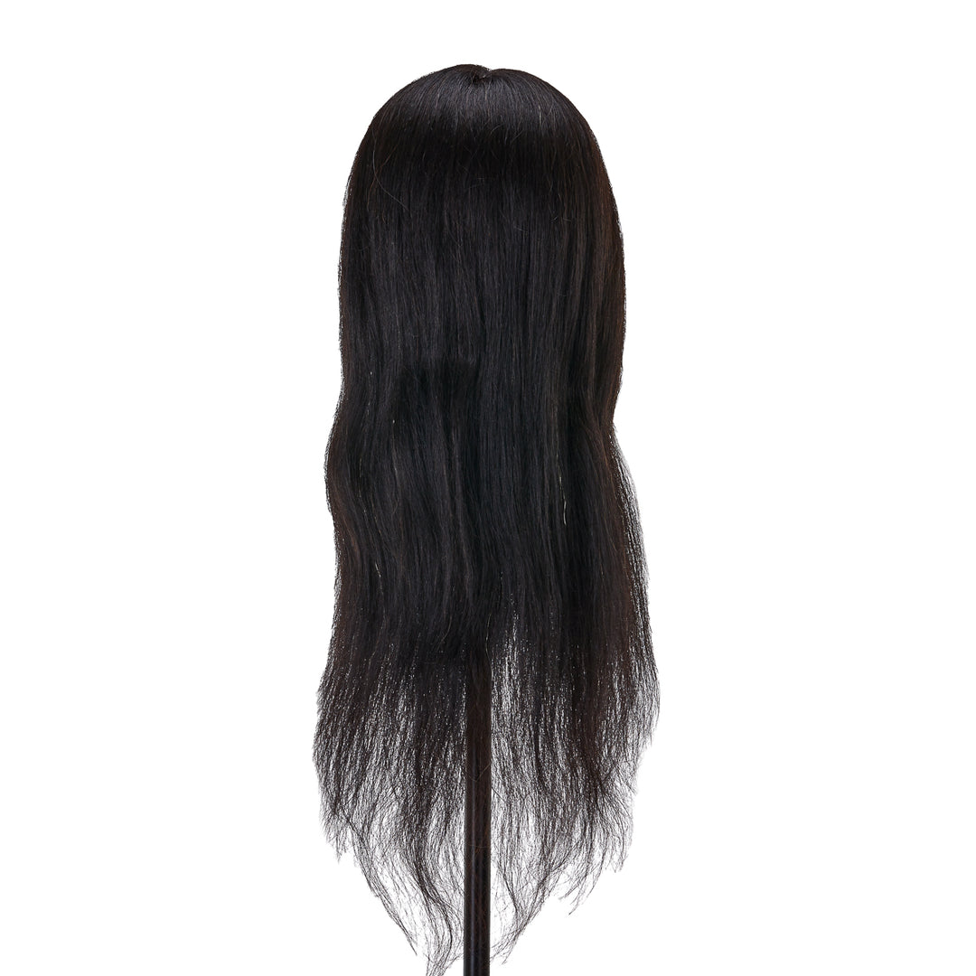 Testina Parrucchiere Gabbiano WZ1 Capelli Veri 42 cm Nero - immagine 4