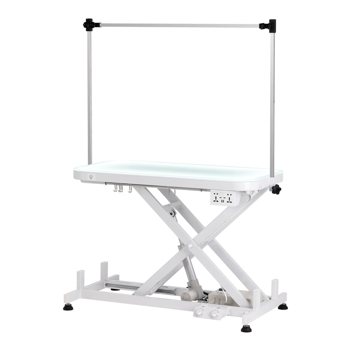 Tavolo da Toelettatura Elettrico P4W 3 Illuminato Bianco
