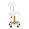 Sgabello Ergonomico con Ruote e Schienale 6001-G Oro-Bianco