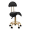 Sgabello Ergonomico con Ruote e Schienale 6001-G Oro-Nero