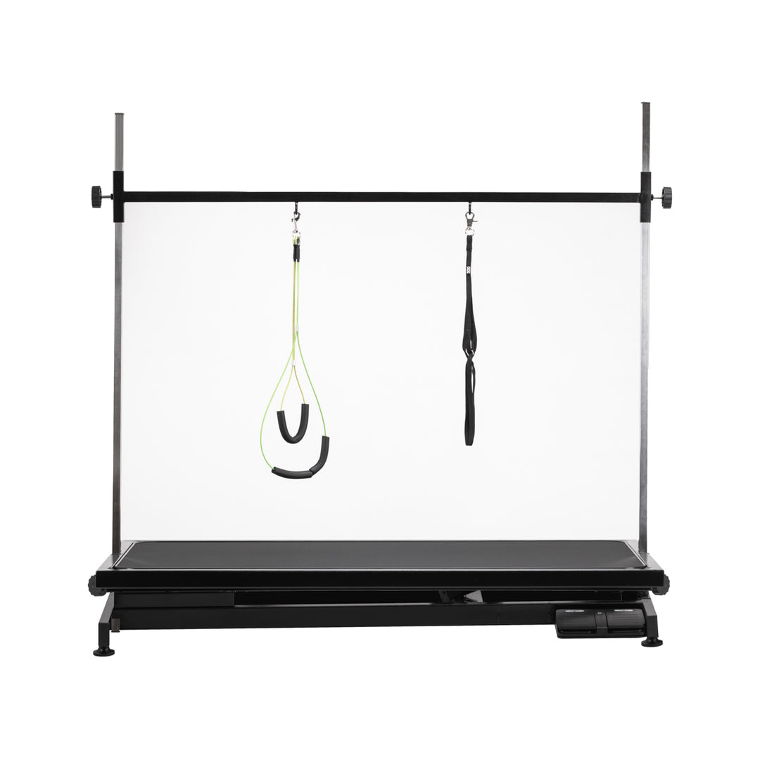 Tavolo da Toelettatura Elettrico P4W 1 Nero - immagine 3