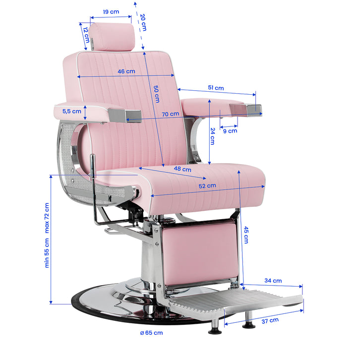 Poltrona Barbiere Gabbiano Visionerio Roze - immagine 17